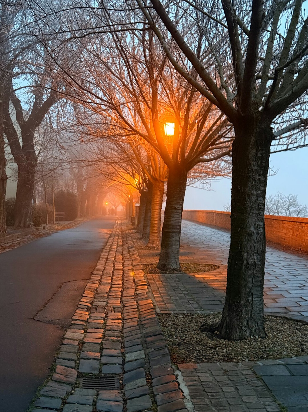 Foggy old European cobblestone street at dusk